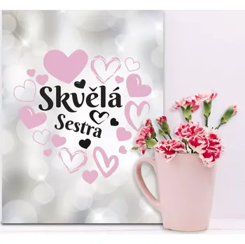 Plechová cedule Sablio Dárková cedulka Skvělá sestra: 30x40 cm