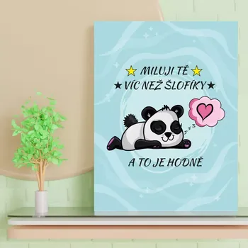 Plechová cedule Sablio Dárková cedulka Miluji tě víc než šlofíky: 30x40 cm