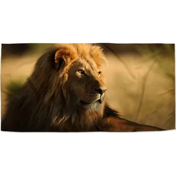 Sablio Ručník Lev 3 - 30x50 cm