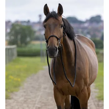 NORTON Ohlávka provazová s otěžemi Norton, černá FULL