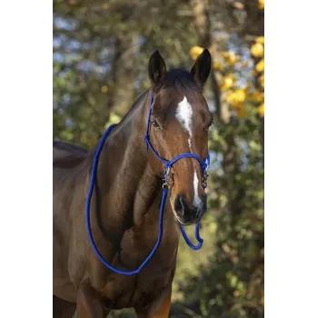 NORTON Ohlávka provazová s otěžemi Norton, royal blue FULL