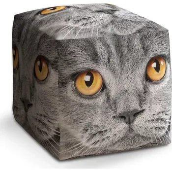 Taburet Sablio Taburet Cube Kočičí pohled: 40x40x40 cm