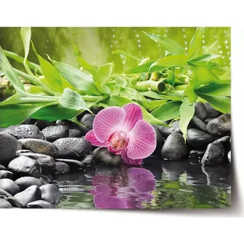 Plakát Sablio Plakát Růžová orchidej - 60x40 cm