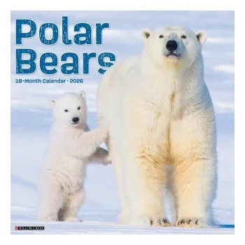 Kalendář Polar Bears 12 X 12 Wall Calendar (Kalendář)