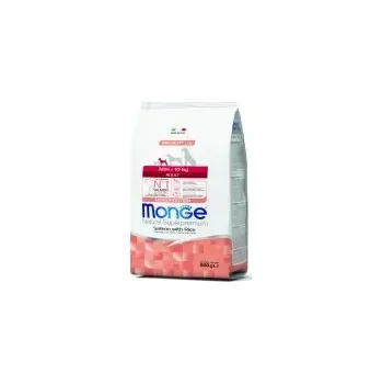 Krmivo pro psa MONGE DOG Mini Adult Losos, rýže 800g, 27/14