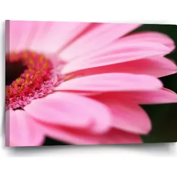 Obraz Sablio Obraz Růžová gerbera - 60x40 cm