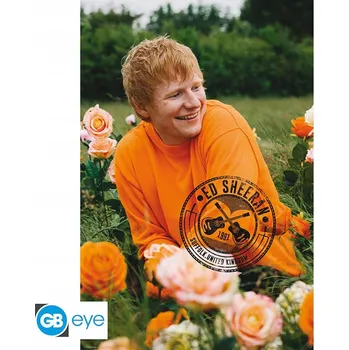 Obraz ED SHEERAN - Poster Maxi 91.5x61 - Rose Field