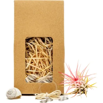 Gardners Šnek "Vyrob si sám" s Tillandsií Ionantha red Tillandsie, kykatka