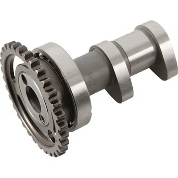 C&L COMPANIES Camshaft exhaust HOT CAMS 2310-2E