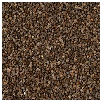 Příloha Pohanka neloupaná BIO