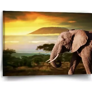 Obraz Sablio Obraz Slon z profilu - 60x40 cm