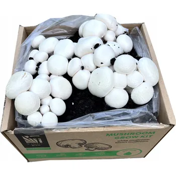 Substrát Sada pro pěstování žampionů bílých Planto 15 l