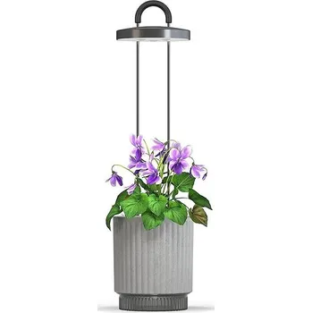 Click and Grow Smart Garden 1 HydroVase, šedý