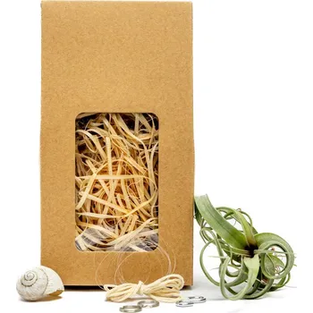 Gardners Šnek "Vyrob si sám" s Tillandsií Curly slim Tillandsie, kykatka