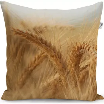 Polštář Sablio Polštář Klasy 2 - 40x40 cm