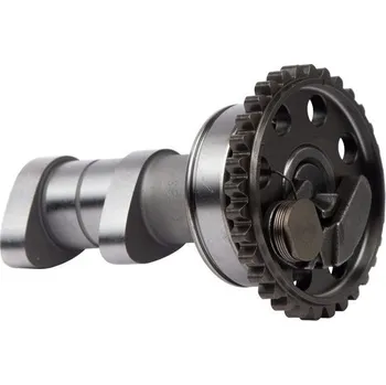 C&L COMPANIES Camshaft exhaust HOT CAMS 4273-2E