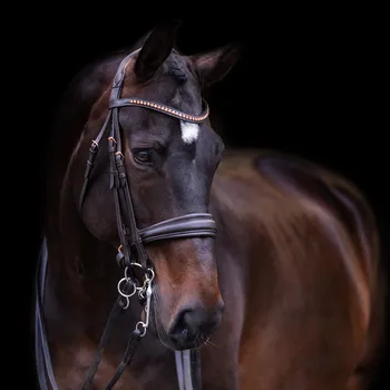 Stájové vybavení IMPERIAL RIDING Svatební uzda Imperial Riding Fria FS KAŠTANOVÁ