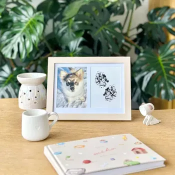 Rám na obraz Albi Fotorámeček pro mazlíčky se sadou na otisky