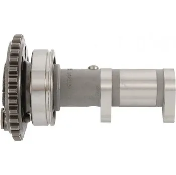 C&L COMPANIES Camshaft exhaust HOT CAMS 4044-1E