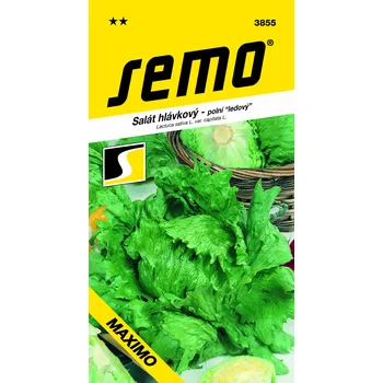 Zahrada Semo Salát hlávkový - Maximo, polní ledový