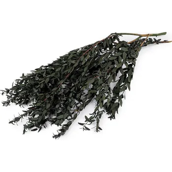 umělá květina Stabilizovaný olivovník svazek Varianta: 3 zelená tmavá, Balení: 1 svaz.