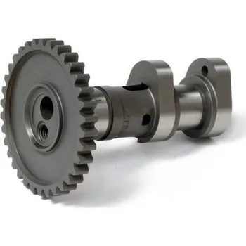 C&L COMPANIES Camshaft exhaust HOT CAMS 3283-1E