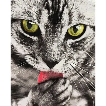 MALOVÁNÍ PODLE ČÍSEL S rámem Obrazy pro malování podle čísel ARTNAPI