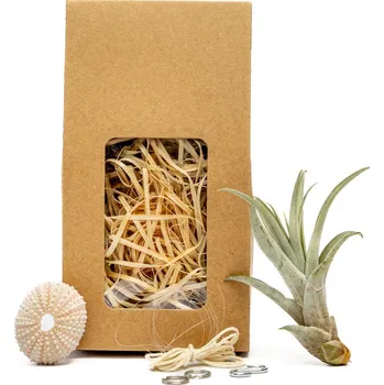 Gardners Medusa "Vyrob si sám“ Rose s Tillandsií Capitata Tillandsie, kykatka