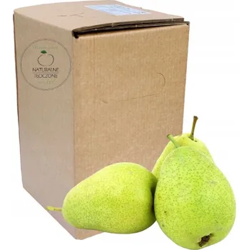 100% Jablečná šťáva 5 l NFC – V KARTONU (jablečná, lisovaná, přírodní)