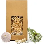 Gardners Medusa "Vyrob si sám" Purple s Tillandsií Curly slim Tillandsie, kykatka