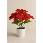 GLOBO LED dekorativní vánoční hvězda 28024