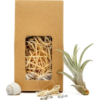 Gardners Šnek "Vyrob si sám" s Tillandsií Capitata Tillandsie, kykatka