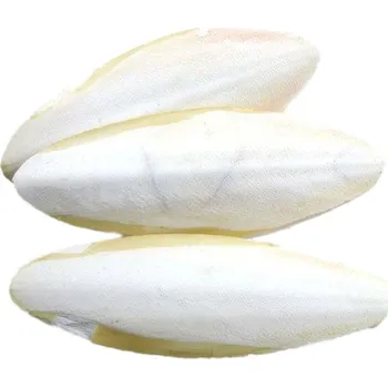 Krmivo pro ptáka Ing. Zdeněk Soukal Sépiová kost broušená 15cm +/-3cm - 1ks