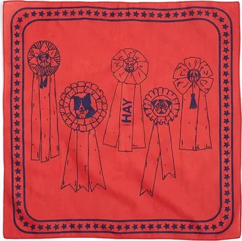 Šátek Šátek pro psa HAY 55 x 55 cm AE930.D281.AB27 červená 33X, vel. ONE SIZE