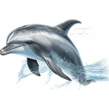 Nášivka Nažehlovačka Delfín - 20 x 13 cm