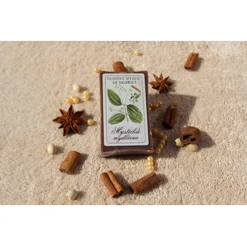 Mýdlo Olivové mýdlo se skořicí