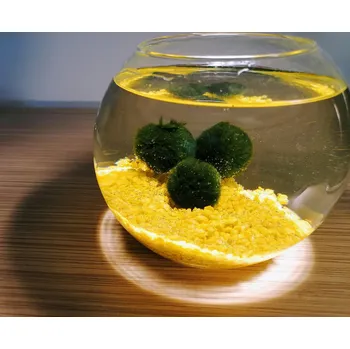 Dekorace do akvária SET Řasokoule a akvarijní koule 0,8 l s žlutým štěrkem