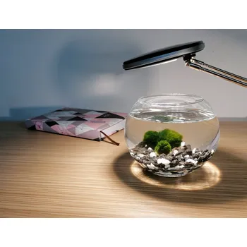 Dekorace do akvária SET Řasokoule a akvarijní koule 0,8 l s černo-bílým štěrkem