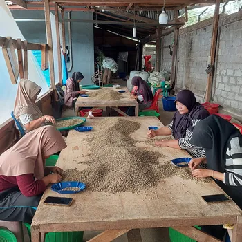 COFFEESPOT Indonésie Hendra Kupas Kiss miss Velikost balení: 1000g