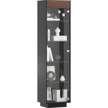 Knihovna Skleněná jednodveřová vitrína do kanceláře a čekárny - Kubánské cigaro/černé