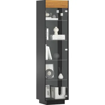 Knihovna Skleněná vitrína do obývacího pokoje, úzká - Přírodní dub/černá