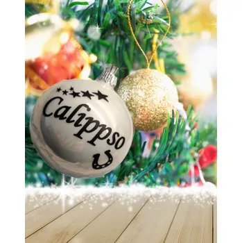 Vánoční dekorace Vánoční baňka pro milovníky koní Potisk: černá, Font písma: 1, Barva baňky: červená 6cm