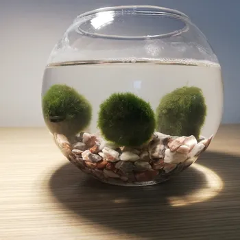 Dekorace do akvária SET Řasokoule a akvarijní koule 0,8 l s bílo-růžovým štěrkem