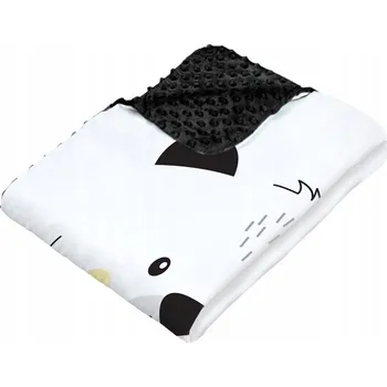 Dětská deka Deka Minky s polštářkem Veselý Medvídek