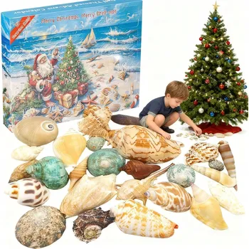 Kalendář Vánoční adventní kalendář s 24 mušlemi – Denní kalendář Dárek