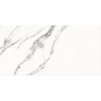 Stavební materiál OPOCZNO / CERSANIT 2D Obklad Cersanit Special Marble white lesk 30x60 NT1288-003-1 NT1288-003-1