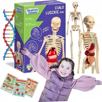 Dětská vědecká sada Sada Clementoni Galileo Poznej lidské tělo