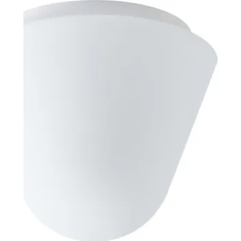 Stropní svítidlo a nástěnné svítidlo - stropní svítidlo bílý matný nástěnný průměr 22 cm IP 43 E27