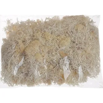 Obraz Mech chrobotek béžový 100 g