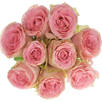 umělá květina Kytice 9 růžových růží SOPHIA LOREN 80cm